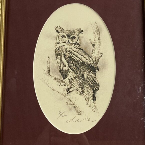 Jack Bolin Great Horned Owl Print Framed Wall Art Limited Edition numbered 39/50 - Picture 2 of 15